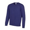 Academy raglan sweatshirt Academy Purple