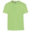 Heavy Cotton™ youth t-shirt Mint Green