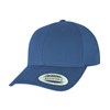 Curved classic snapback (7706)(7706)  Delft