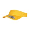 Curved visor cap (8888)  Magic Mango
